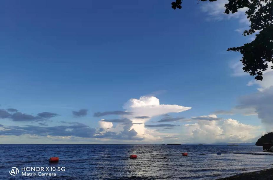 海燕策略,海燕论坛|官网√_image9530